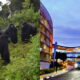 Gorilla Tours & Kigali City Tour